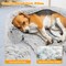 Plush Calming Dog Couch Bed with Removable and Washable Zipper Cover